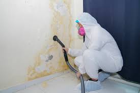 Best Real Estate Mold Inspection  in Vandenberg Village, CA